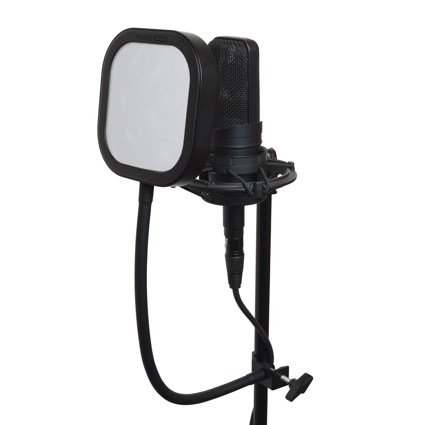 Studio microphone with Metal pop filter on a white background