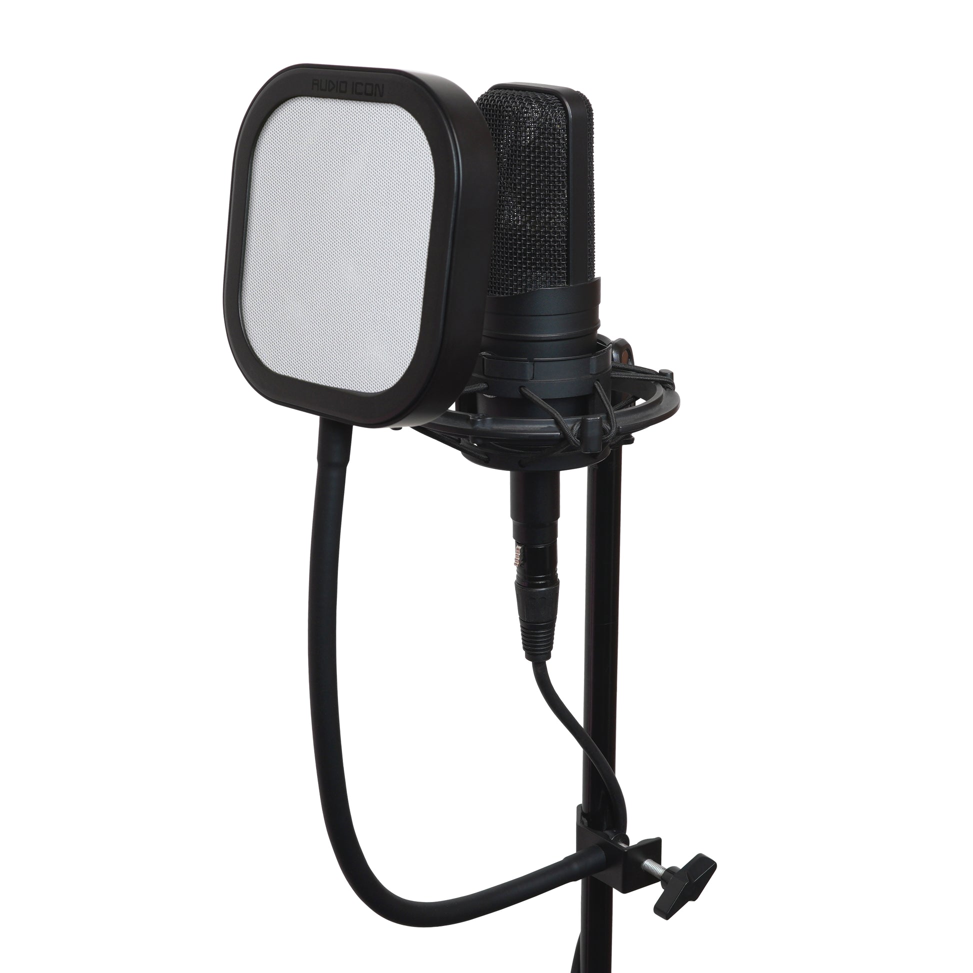 Studio microphone with Metal pop filter on a white background